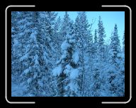 0212_0301 Sverige 081 * 800 x 600 * (118KB)